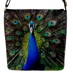 Peacock Bird Feathers Pheasant Nature Animal Texture Pattern Flap Closure Messenger Bag (s) by Bedest