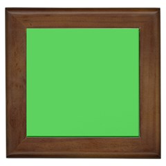 Grün Framed Tile by 2607694c