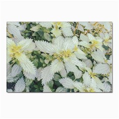 Enchanting Foliage Sharp Edged Leaves In Pale Yellow And Silver Bk Postcard 4 x 6  (pkg Of 10) by dflcprintsclothing