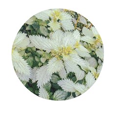 Enchanting Foliage Sharp Edged Leaves In Pale Yellow And Silver Bk Mini Round Pill Box by dflcprintsclothing