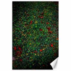 Grass Nature Meadow Canvas 20  X 30  by Loisa77