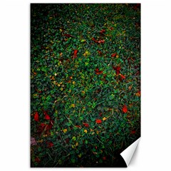 Grass Nature Meadow Canvas 24  X 36  by Loisa77