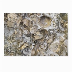 Fossilized Seashell Texture Print Design Bk Postcard 4 x 6  (pkg Of 10) by dflcprintsclothing