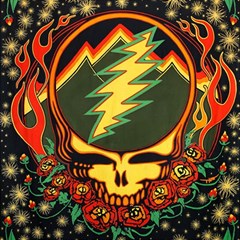 Grateful Dead Scarlet Fire Play Mat (rectangle) by Perong