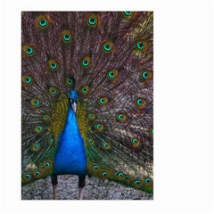 Bird Peacock Feathers Large Garden Flag (two Sides) by Perong