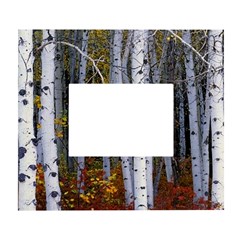 White Birch Trees Autumn White Wall Photo Frame 5  X 7  by Perong