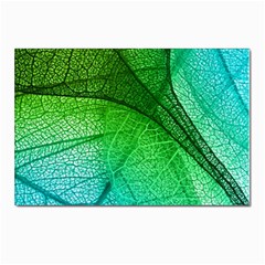 3d Leaves Texture Sheet Blue Green Postcard 4 x 6  (pkg Of 10) by Cemarart