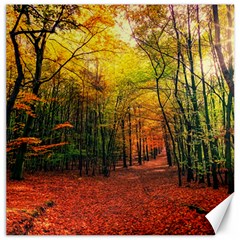 Forest Woods Autumn Nature Canvas 20  X 20  by Proyonanggan