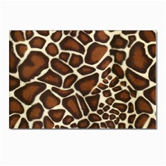 Giraffe Texture, Macro Postcards 5  X 7  (pkg Of 10) by kyorashop23