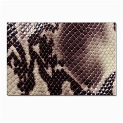 Snake Skin, Reptile Skin, Snake Skin Textures, Brown Snake Postcards 5  X 7  (pkg Of 10) by kyorashop23