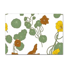 Nasturtium Flowers Plant Leaves Sticker A4 (100 Pack) by Salmanaz77