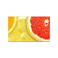 Fruit, Lemon Sticker Rectangular (100 Pack) by kyorashop23