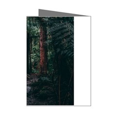 Forest Jungle Trees Tropics Mini Greeting Cards (pkg Of 8) by Bedest