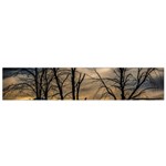 Tree Silhouette At Border Of Nahuel Haupi Lake, Rio Negro, Argentina Small Premium Plush Fleece Scarf Back