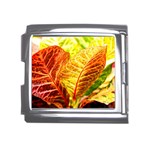 Leaves Plant Pattern Croton Nature Mega Link Italian Charm (18mm) Front