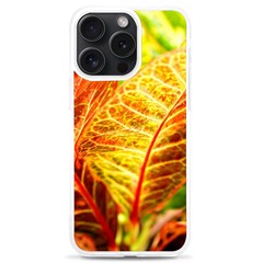 Leaves Plant Pattern Croton Nature Iphone 15 Pro Max Tpu Uv Print Case by Sabxi